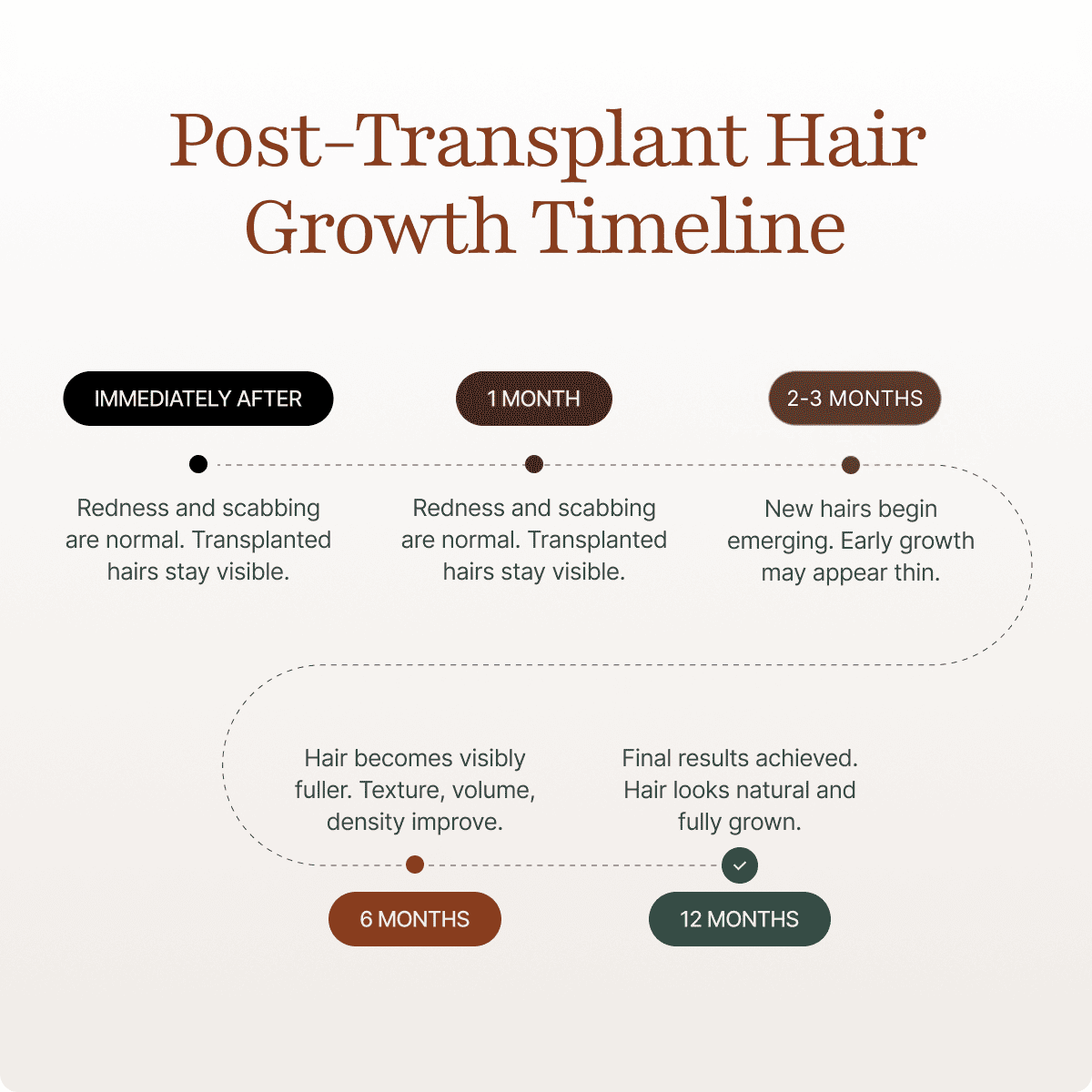 Post-transplant hair growth timeline showing 5 stages: immediately after, 1 month, 2-3 months, 6 months, and 12 months with detailed descriptions of what to expect at each stage