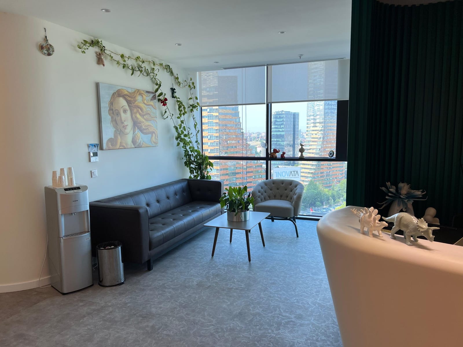 Reception area at Dr. Gökeşme Hair Transplant