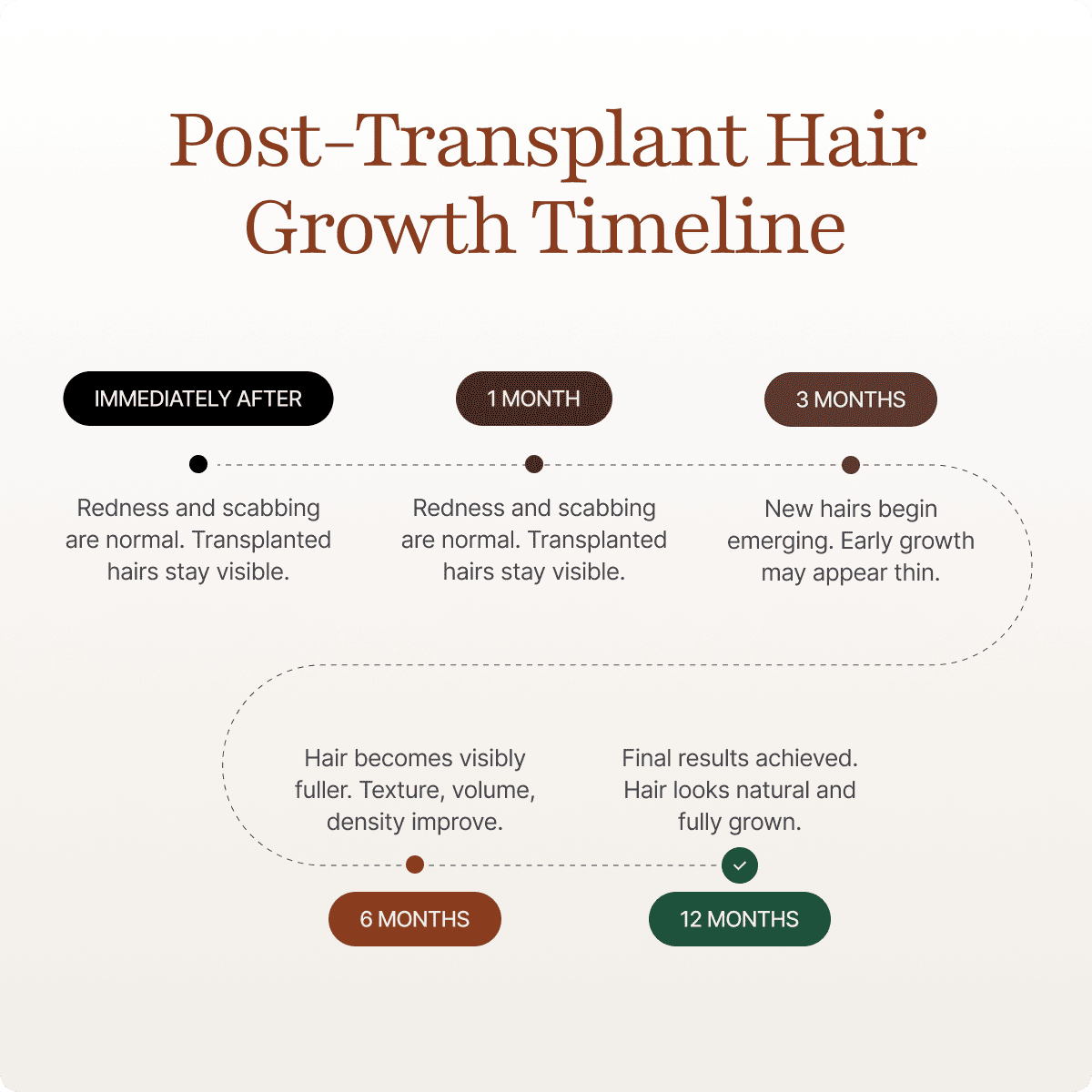 Zeitachse des Haarwachstums nach einer FUE-Transplantation